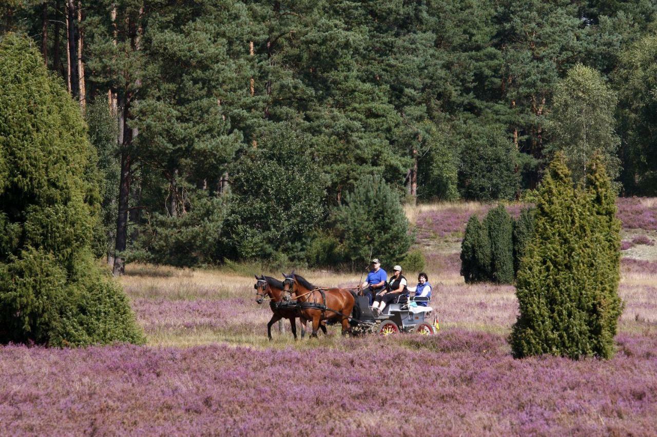 Ferienhof Cohrs Bispingen Eksteriør billede